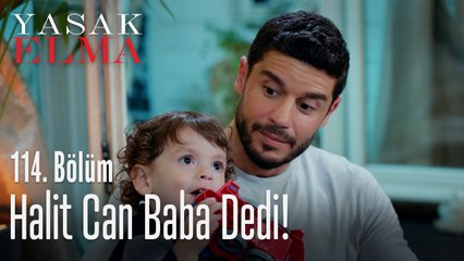 Halit Can baba dedi! - Yasak Elma 114. Bölüm