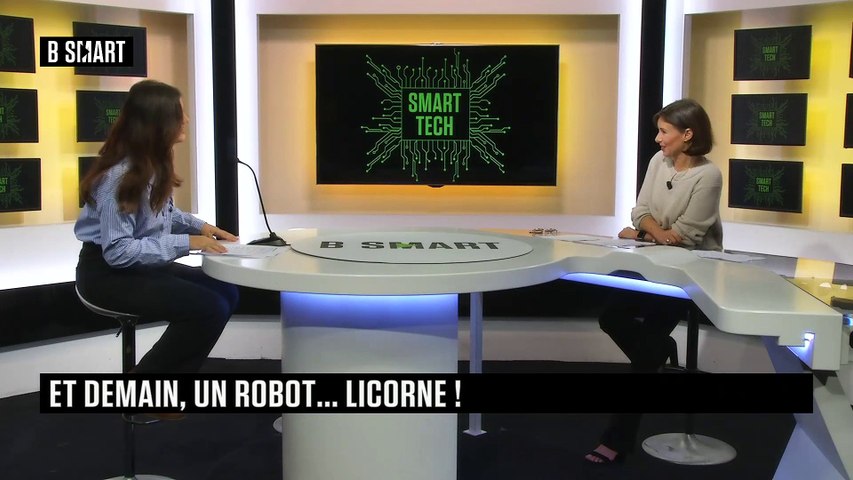 Et demain, un robot... licorne !