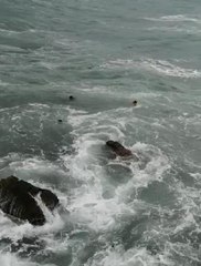 ARNAVUTKÖY'DE DENİZE DÜŞÜP BOĞULMUŞTU, YENİ GÖRÜNTÜLER ORTAYA ÇIKTI