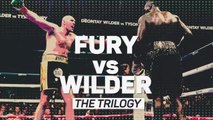 Fury vs Wilder - The trilogy