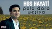 HGS Hayati - Pele Dara Weşîya (2021 © Aydın Müzik)