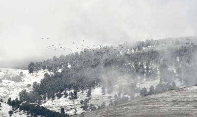 Sarıkamış ilçesinde kar etkili oldu