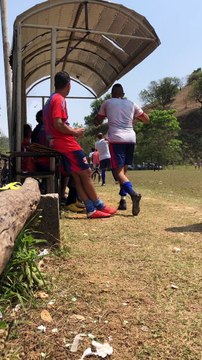 Man Smashes Hornets Nest During Soccer Warm Up