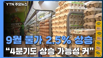 6개월 연속 2%대 고공행진...연말 물가 관리 비상 / YTN