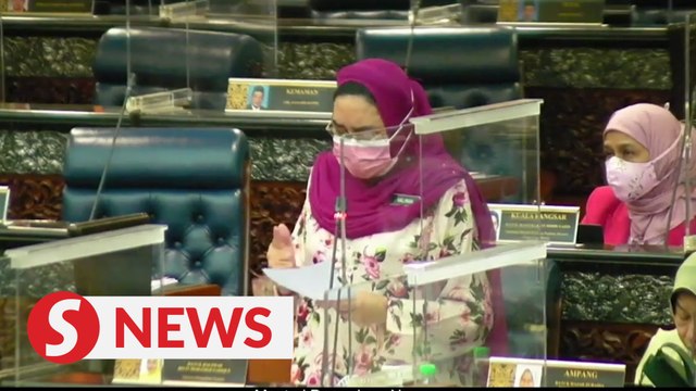 National Unity Minister clarifies alleged ‘missing’ RM100mil meant for Mitra under Budget 2021