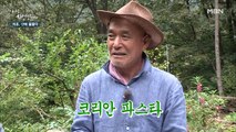 [자연 밥상] 비주얼부터 맛과 영양까지 사로잡은 ★코리안 파스타★가 있다?!