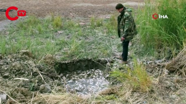 Korkutan çevre felaketi, gölün kıyısı ölü balıklarla doldu