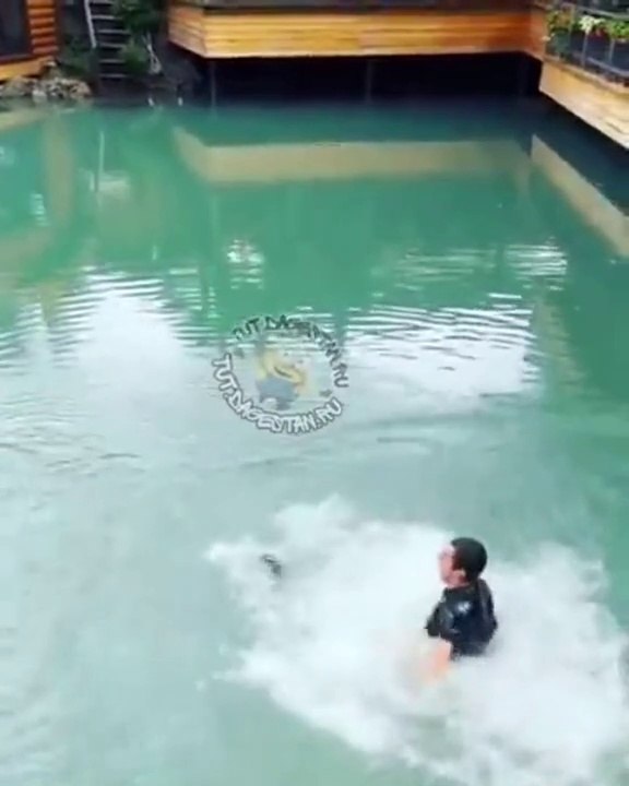 Il saute à l'eau pour sauver un chaton