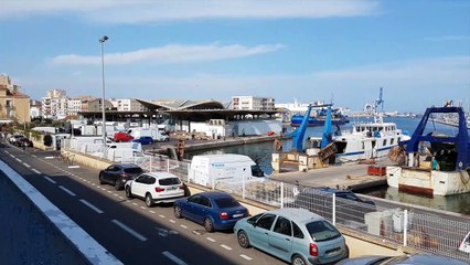 Port of SETE, auction is small business