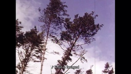 Climate crisis film  ‘Living Proof – A Climate Story’  on tour around Scotland from October