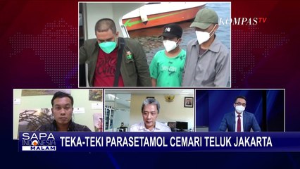 Dugaan Pencemaran di Teluk Jakarta, KLHK: Konsentrasi Paracetamol Masih Kecil