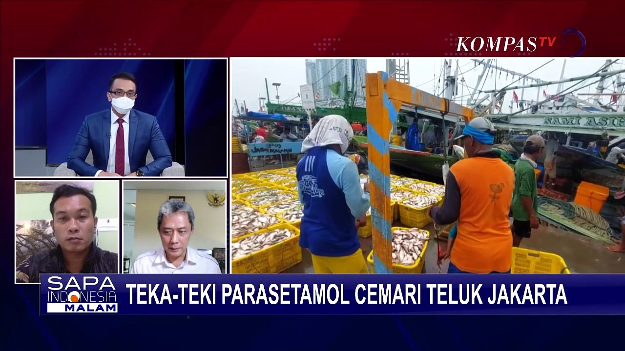 Teluk Jakarta Terkontaminasi Paracetamol, Dari Mana Asal-usulnya?