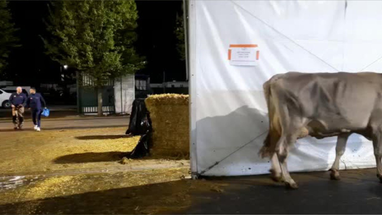 Au cœur du Sommet de l'élevage 2021 à Clermont-Ferrand