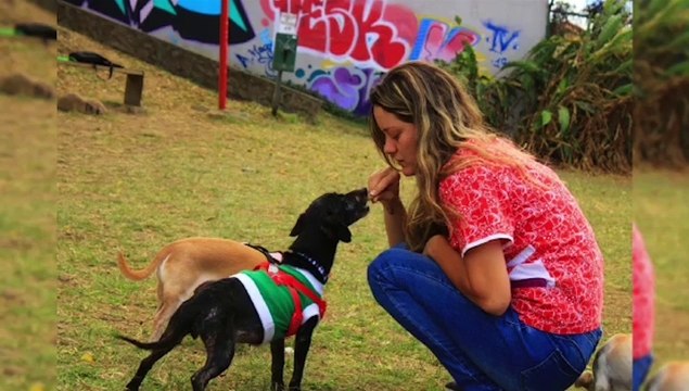 ext-detalles-de-adopciones-chinoto-061021