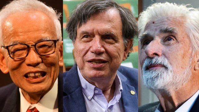 Nobel Prize In Physics Awarded To Scientists Who Predicted Climate Change