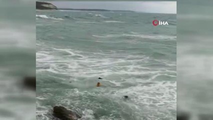 Denize düşen 4 kişiden 1'inin hayatını kaybettiği korkunç olayın görüntüsü ortaya çıktı