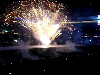 Lille-Lyon Stade de france(2)