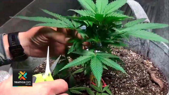 tn7-tiempo-se-agota-para-aprobar-proyecto-061021