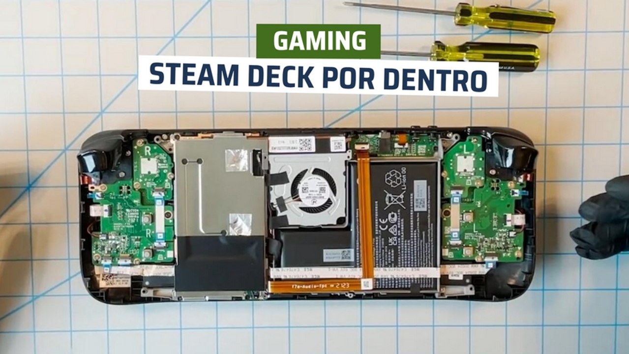 Steam Deck por dentro