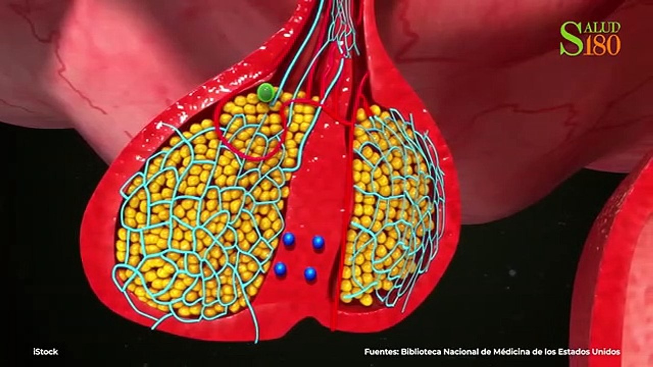 Señales de cortisol alto y remedios naturales para bajarlo| Salud180