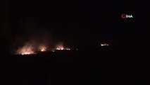 Son dakika haber... Kozan'da anız yangını korkuttu
