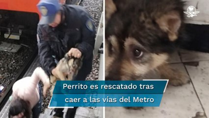 AMLO se sentiría seguro en Badiraguato para entregar Medalla Belisario Domínguez: "El Jefe Diego"