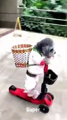 Facebook 256779946221359(240p)(0)