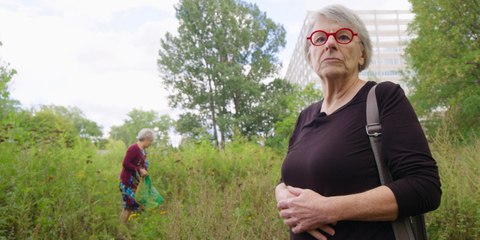 Herbe à poux : aux racines du problème