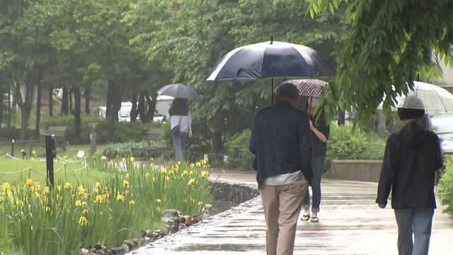 [날씨] 출근길, 중부 비·남부 안개...남부 늦더위 계속 / YTN