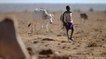 Drought puts millions of Kenyans at risk of starvation