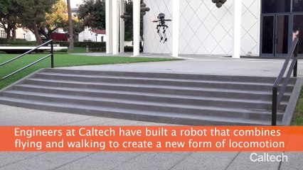 Leonardo - The Skateboarding Slacklining Robot