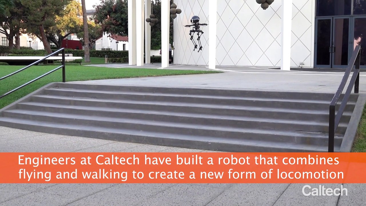 Leonardo - The Skateboarding Slacklining Robot