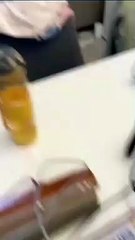 Cute cat sitting on the chair