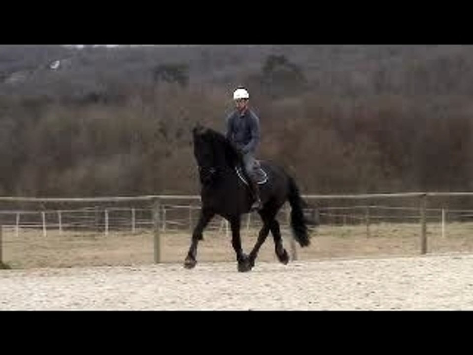 ATE MANU SAUT
