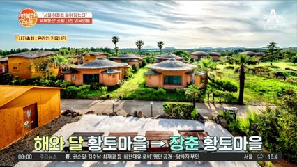 '신 삼다도' 만든 중국인 투자, 우리도 중국 아파트 살 수 있을까?