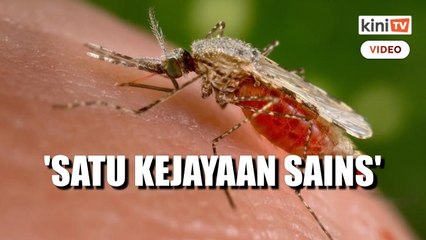 WHO perakui vaksin malaria untuk kanak-kanak Afrika