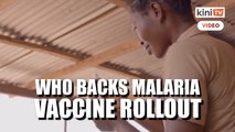WHO backs malaria vaccine rollout for Africa's children in major breakthrough