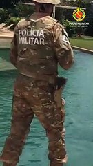 Capivara é resgatada de piscina no Lago Sul