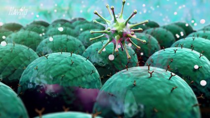 Virus Covid 19 tấn công cơ thể bạn như thế nào?