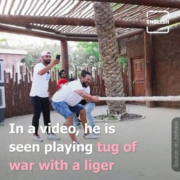 Yuvraj Singh Plays Tug Of War With Wild Cat In Dubai