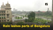 Rain lashes parts of Bengaluru