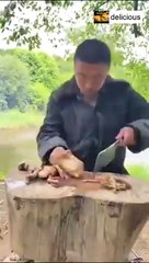 Cooking Duck Survival - World of Delicious Food