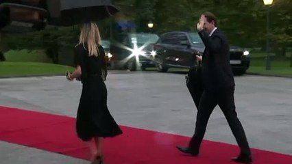 Австрия: кто платил за "заказуху"?