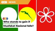 Analysts split over whether Umno or Bersatu will emerge as the big winner if Muafakat Nasional falls