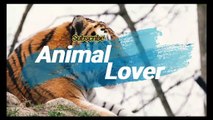 Pomeranian |Animal Lover |Animal Channel |Dogs/breeds | part 1