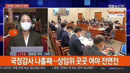 與 "50억 명단공개, 자폭수류탄"…野 "수사 뭉개기"