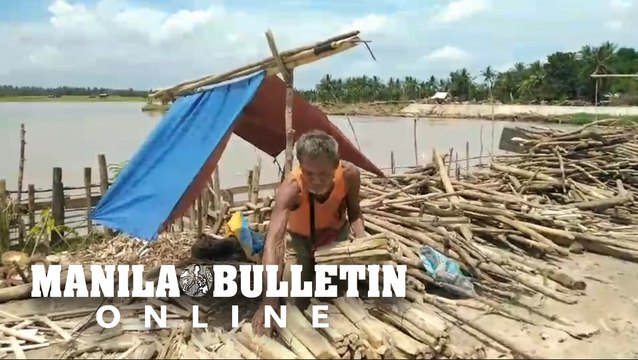 Villagers in Pagalungan, Maguindanao haul firewood from driftwood swept by floodwaters
