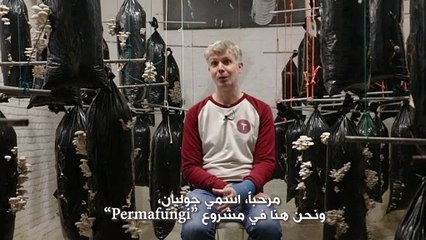 أبطال بيئيون: فطر محار من بقايا القهوة