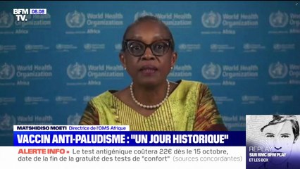 Le vaccin anti-paludisme, pour les enfants, va être déployé à grande échelle en Afrique subsaharienne et dans les zones à risque