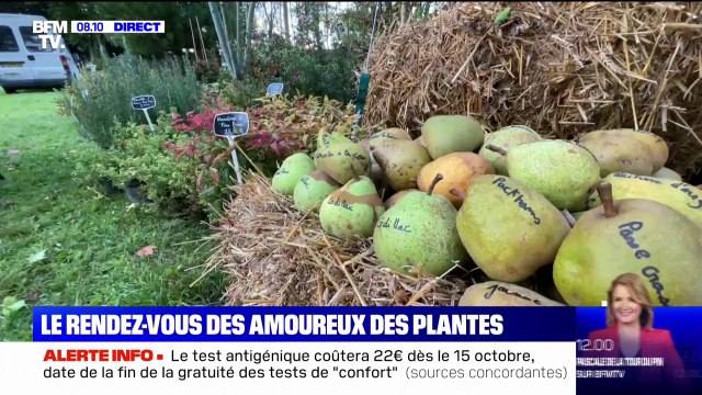 Le château de Chantilly dans l'Oise accueille les Journées des plantes